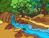 Desenho Paisagem da floresta com um rio pintado por Nanda12743