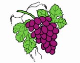 Desenho Cacho de uvas pintado por brunah