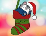 Desenho Gatinho dormindo em uma meia de Natal pintado por ImShampoo