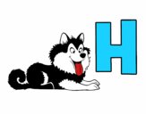 Desenho H de Husky pintado por ThaySilvaa