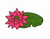 Desenho Uma flor de lotus pintado por Jujuli