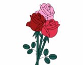 Um buquê de rosas