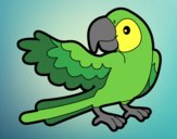 Desenho Papagaio abrir a asa pintado por Craudia