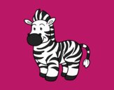 O zebra