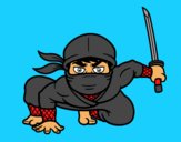 Ninja japonês