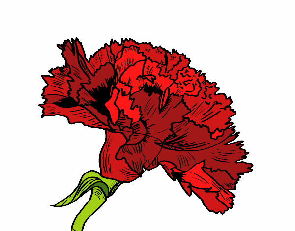Desenho de Cravo vermelho pintado e colorido por Usuário não registrado o  dia 22 de Abril do 2020
