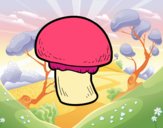 Um cogumelo