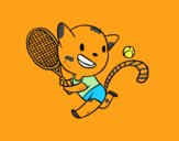 Gato tennis