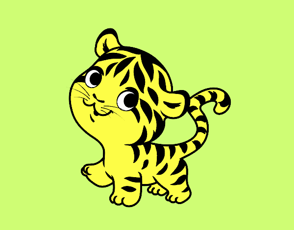 Bebê tigre