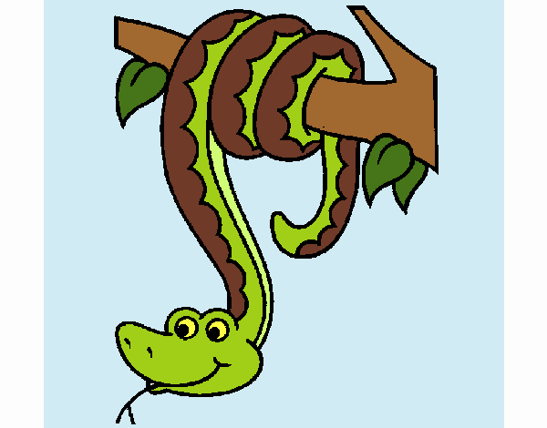 Serpente pendurada numa árvore