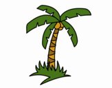 Palmeira tropical