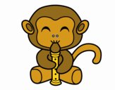 Macaco flautista