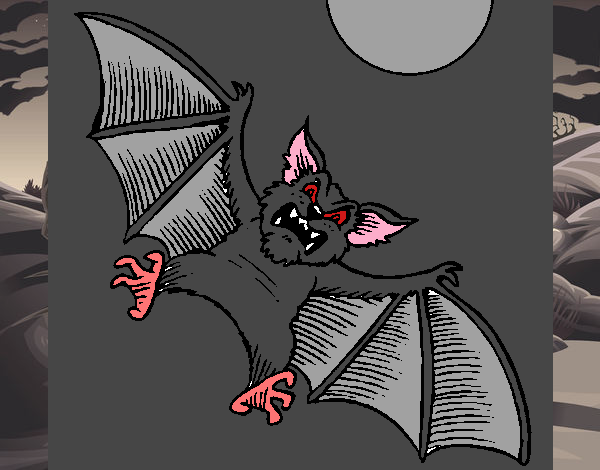 Morcego cão