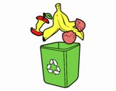 Reciclagem orgânica