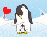  Pinguim com seu bebê