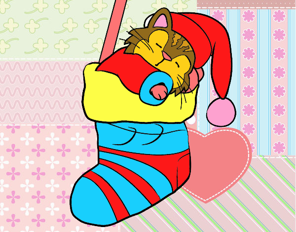 Gatinho dormindo em uma meia de Natal