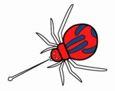 Aranha veneno expelido