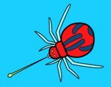 Aranha veneno expelido