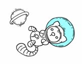 Gatito astronauta