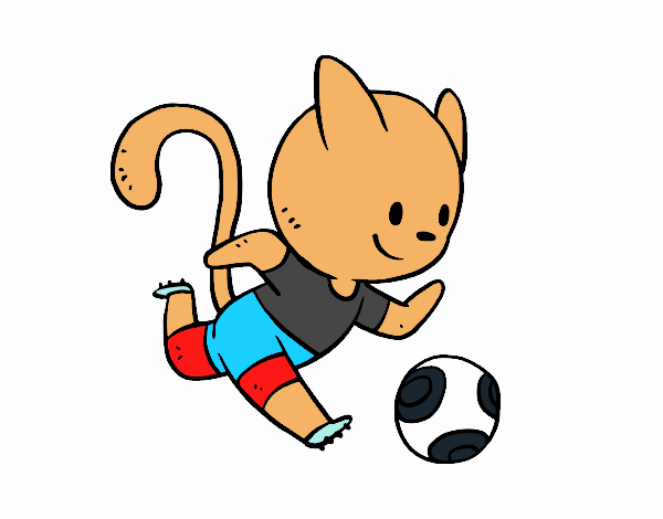 Gato futebol