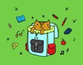 Gato em uma mochila