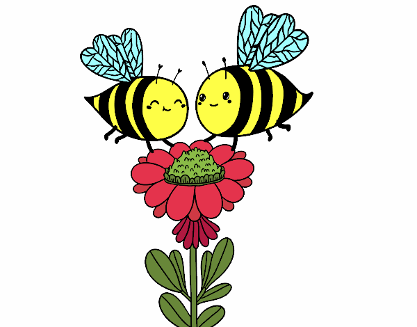 Algumas abelhas