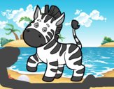 Uma zebra africana