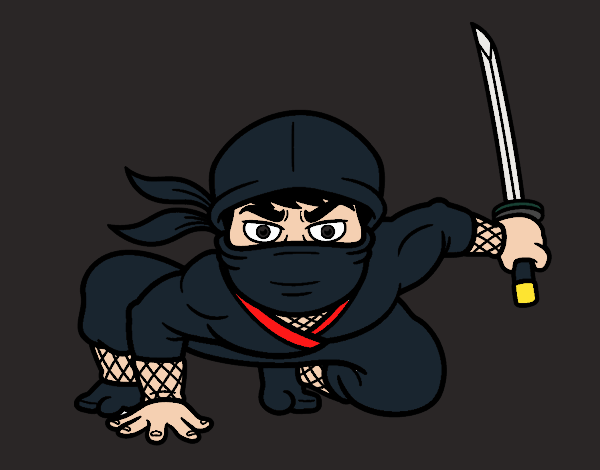 Ninja japonês