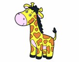 Uma girafa