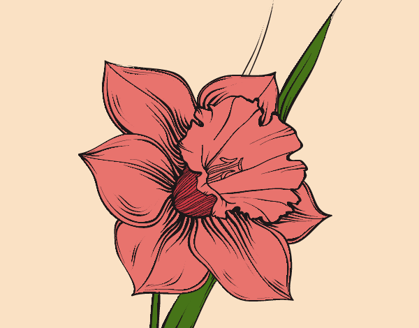 Desenho de Flor de narciso pintado e colorido por Usuário não registrado o  dia 07 de Agosto do 2022