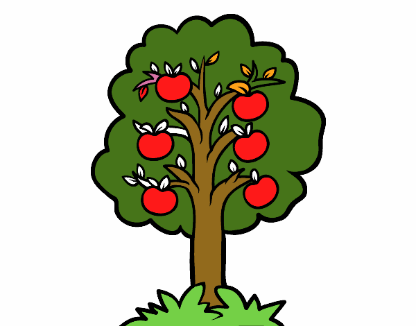 Uma macieira