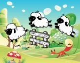 Contar ovelhas