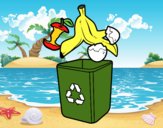 Reciclagem orgânica