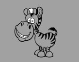 Zebra sorridente
