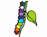 Desenhos de Animais, Minhocas pintados e coloridos mas visitados pelos  utilizadores de Colorir.com