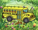 Autocarro Escolar dos Estados Unidos