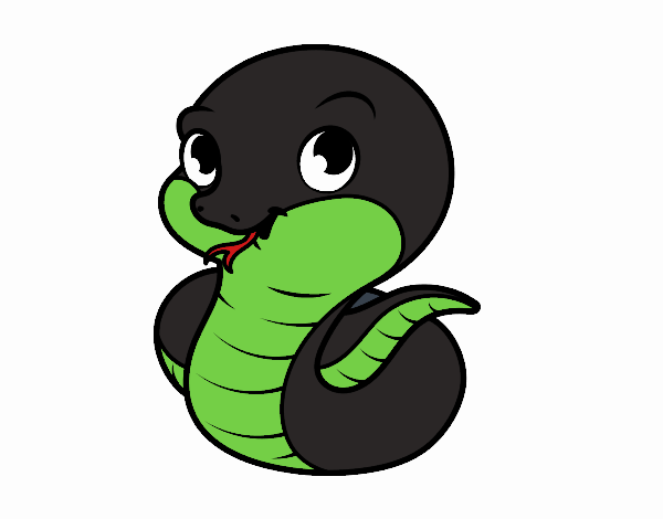Desenho de Cobra bebê pintado e colorido por Usuário não