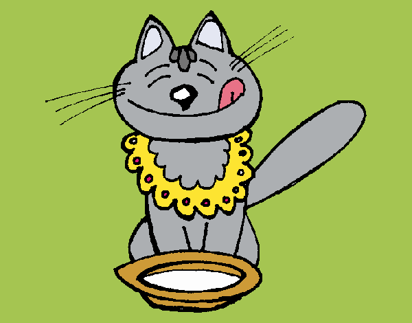 Desenho de Gato com bandana para Colorir - Colorir.com