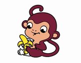 Desenho de Macaco pendurado em um galho pintado e colorido por Usuário não  registrado o dia 19 de Maio do 2017