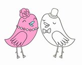 Pássaros de casamento