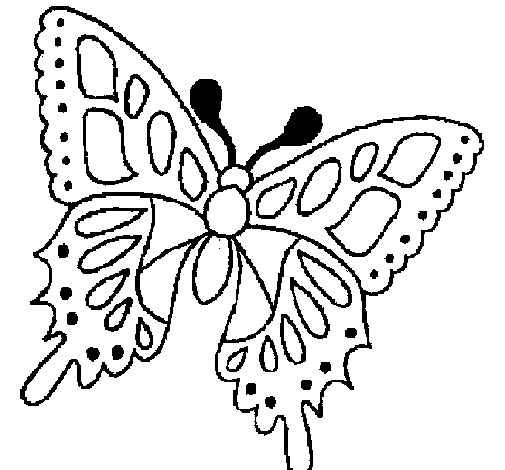 Desenho de Borboleta 2a para Colorir