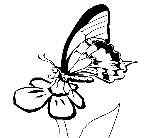 Desenho de Borboleta numa flor para Colorir