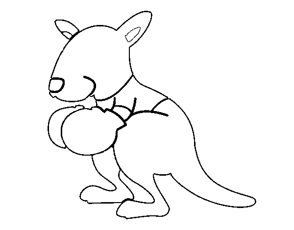 Desenho de Boxe canguru para Colorir
