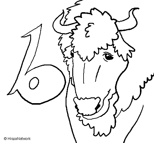Desenho de Búfalo para Colorir