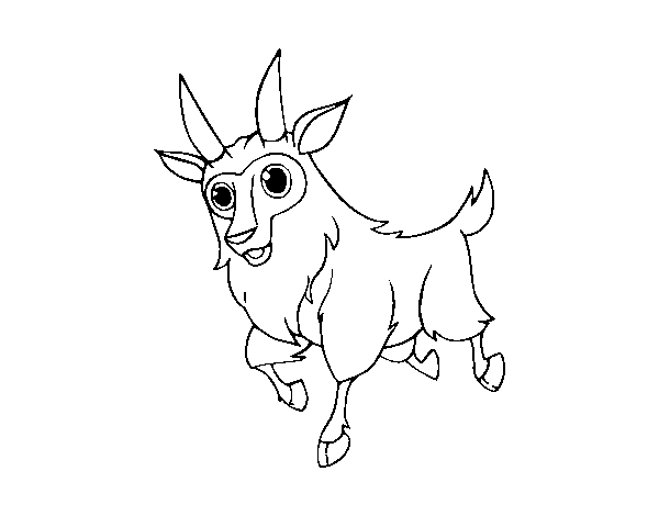 Desenho de Cabra macho para Colorir