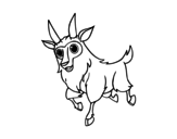 Desenho de Cabra macho para colorear