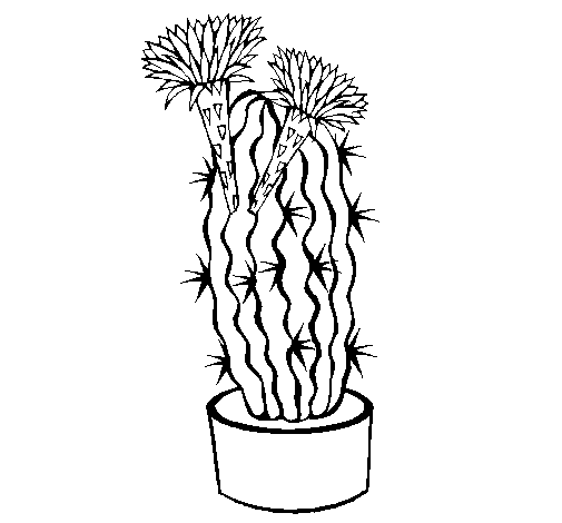Desenho de Cacto com flores para Colorir
