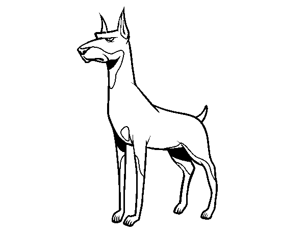Desenho de Cão Dobermann para Colorir
