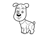 Desenho de Cão doméstico para colorear