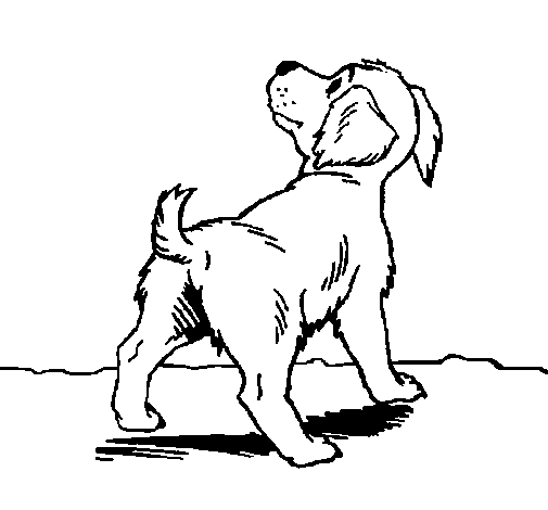 Desenho de Cão III para Colorir